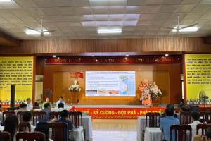 Các đại biểu trình bày tham luận tại Hội nghị. 