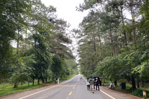 Măng Đen là địa điểm hút khách du lịch. 