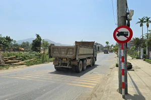 Ảnh tư liệu minh họa.