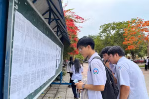 Thí sinh xem danh sách phòng thi tại Điểm thi Trường THPT chuyên Lê Khiết (tỉnh Quảng Ngãi).