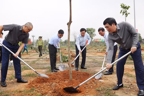 Đã có hơn 1.000 cây xanh các loại được tỉnh Phú Thọ trồng tại Tết trồng cây.