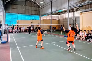 Hoạt động của CLB Cầu Lông, Trường THCS&THPT Sư phạm.