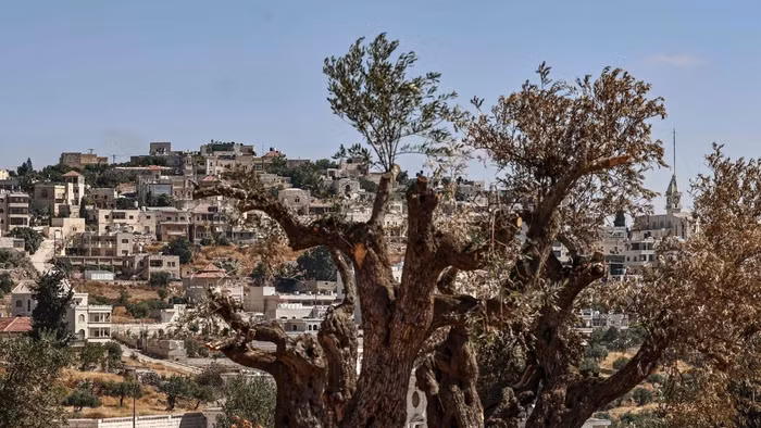 Làng Taybeh của người Palestine.