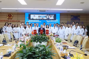 Trường ĐH Cửu Long hợp tác với đối tác Nhật Bản, góp phần nâng cao chất lượng đào tạo.