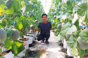 Anh Nguyễn Hoàng Duy quyết tâm khởi nghiệp trên chính quê nhà.