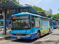 a7.jpg