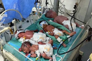 Khủng hoảng nhiên liệu lên đến đỉnh điểm buộc các bác sĩ ở Gaza phải nhồi nhét nhiều trẻ sơ sinh vào một lồng ấp.