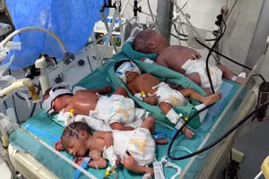 Khủng hoảng nhiên liệu lên đến đỉnh điểm buộc các bác sĩ ở Gaza phải nhồi nhét nhiều trẻ sơ sinh vào một lồng ấp.