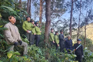 Lực lượng Kiểm lâm Khu bảo tồn thiên nhiên Mường La tuần tra rừng.