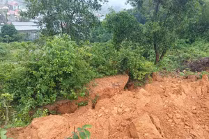 Khu vực sạt lở đất tại phường Thống Nhất.
