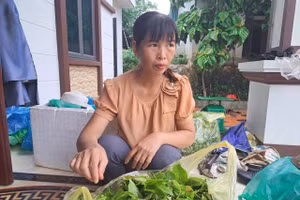 Chị Xuyến đang đóng gói rau mít rừng bán cho các tiểu thương.