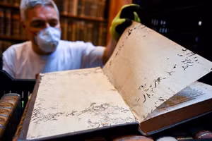 Tu viện Pannonhalma Archabbey ở Hungary đang nỗ lực cứu 100.000 cuốn sách khỏi sự phá hoại kinh hoàng của bọ cánh cứng.