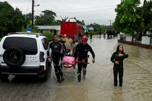 Jamaica bùng phát dịch bệnh leptospirosis gây chết người sau cơn bão Melissa.