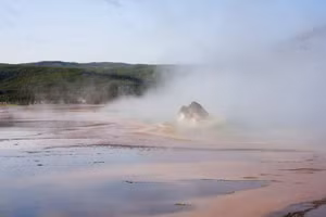 Con bò rừng bison được cho là đã chết nhanh chóng sau khi vô tình rơi vào vùng nước nóng ở Công viên quốc gia Yellowstone.