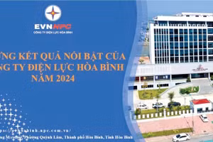Công ty điện lực tỉnh Hòa Bình đạt 10 kết quả nổi bật.