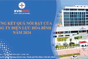 Công ty điện lực tỉnh Hòa Bình đạt 10 kết quả nổi bật.