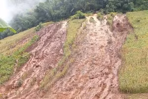 Nương ngô của người dân bị cuốn trôi do nước từ đường ống dẫn nước của thủy điện Nậm La tràn xuống.