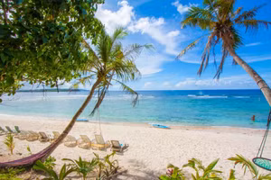 Đảo Guam ở Thái Bình Dương đã trở thành trung tâm của một thảm họa sinh thái nghiêm trọng.