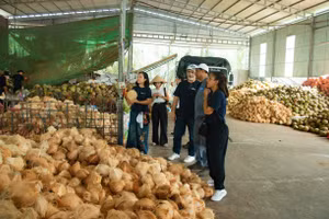 Xây dựng nông thôn Việt Nam thịnh vượng, bền vững, bao trùm