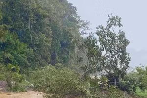 Một điểm sạt lở trên địa bàn tỉnh Sơn La.