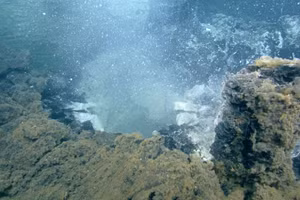 Những đám mây trắng chất thải vi khuẩn cuồn cuộn trôi lên từ đáy biển