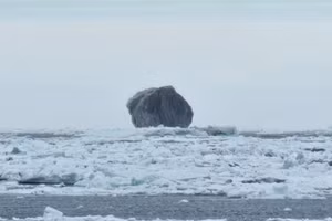 Tảng băng trôi đen khổng lồ được phát hiện ngoài khơi bờ biển Canada.