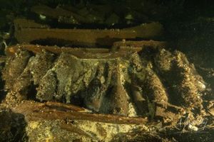 Những chai sâm panh chưa được mở vẫn được xếp ngay ngắn trên con tàu chìm ở biển Baltic khoảng 170 năm trước
