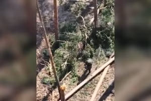 Vị trí lính Nga dùng tay bắt UAV Ukraine.