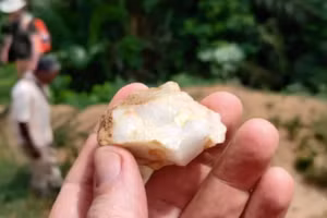 Một trong những công cụ bằng đá được thu hồi từ khu rừng nhiệt đới của Bờ Biển Ngà.