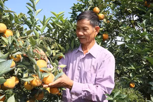 Nhờ kiên trì học hỏi kinh nghiệm, ông Chất đã vươn lên thoát nghèo và có thu nhập cao.