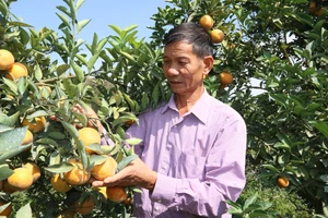 Nhờ kiên trì học hỏi kinh nghiệm, ông Chất đã vươn lên thoát nghèo và có thu nhập cao.