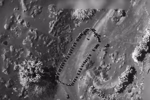 Mỹ không kích hủy diệt đội quân lớn của Houthi ở Yemen, ngày 4/4/2025.