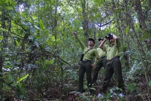 Công tác bảo vệ rừng và phát triển rừng luôn được lực lượng Kiểm lâm tỉnh Sơn La xác định là nhiệm vụ trọng tâm.