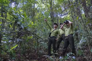 Công tác bảo vệ rừng và phát triển rừng luôn được lực lượng Kiểm lâm tỉnh Sơn La xác định là nhiệm vụ trọng tâm.