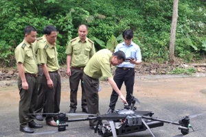 Lực lượng Kiểm lâm tỉnh Sơn La đang dùng Flycam tuần tra, giám sát rừng.