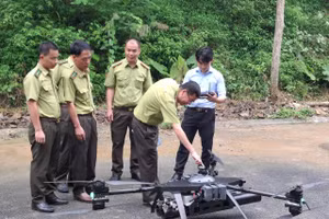Lực lượng Kiểm lâm tỉnh Sơn La đang dùng Flycam tuần tra, giám sát rừng.