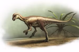 Loài khủng long mới có kích thước bằng chú chó collie.