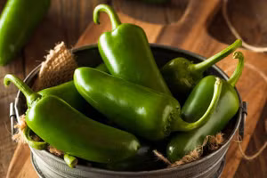 Ớt jalapeno được trồng tại bang Sinaloa của Mexico.