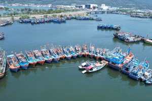 Việt Nam hợp tác quốc tế chống khai thác IUU