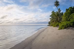 Đảo Alphonse ở Seychelles nắng quanh năm, nhiệt độ hiếm khi xuống dưới 22 độ C.