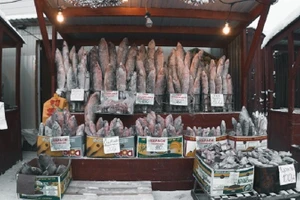 Yakutsk - thành phố phía đông Siberia là nơi sinh sống đầy thách thức, tuy nhiên người dân đã học cách thích nghi.