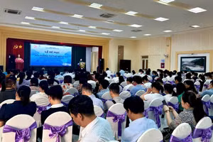 Hơn 250 cán bộ quản lý, giáo viên tham gia khóa tập huấn ứng dụng AI.