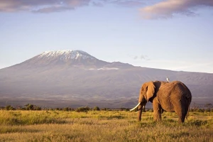 Núi Kilimanjaro nằm ở Tanzania được biết đến là ngọn núi cao nhất châu Phi.