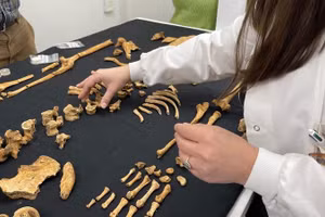 Cho đến nay, các nhà nghiên cứu đã khai quật được 41 bộ xương, chủ yếu là phụ nữ, tiết lộ cuộc sống khó khăn của họ thời Trung cổ.