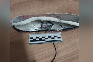 FSB phát hiện Ukraine âm mưu đặt bom trong giày lính Nga.