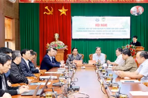 Các đại biểu dự Hội nghị.