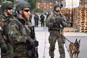 Lính Đức tham gia một cuộc tập trận quân sự.