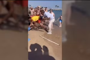 Nhân viên khách sạn vật lộn bắt con cá chình tấn công du khách Nga khiến người này phải nhập viện, ngày 24/12/2025.