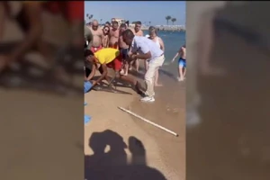 Nhân viên khách sạn vật lộn bắt con cá chình tấn công du khách Nga khiến người này phải nhập viện, ngày 24/12/2025.