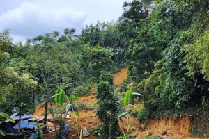 Hiện trường vụ sạt lở đất tại xã Cuối Hạ, huyện Kim Bôi, tỉnh Sơn La.